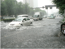 リアルタイム雨水情報ネットワーク　■エンジニアリング　リポート