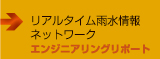 リアルタイム雨水情報ネットワーク　■エンジニアリング　リポート