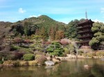 池を前に絶好のロケーション・瑠璃光寺の五重塔